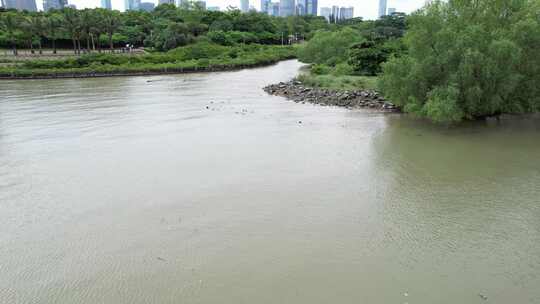 深圳湾海面航拍