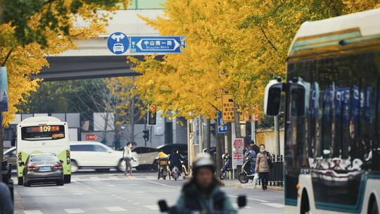 银杏树 车辆 街道 都市生活