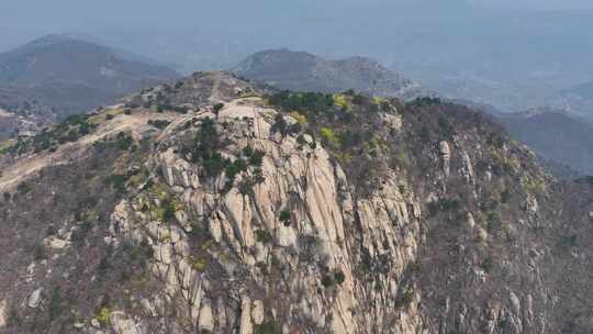 春山摄影，定格春光，新甫山景区春意盎然视频素材模板下载