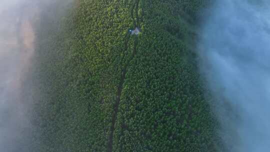 航拍山川绿色林海晨雾