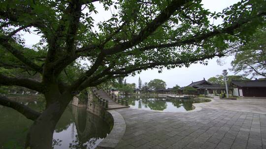 实拍浙江温州江心屿 江心寺