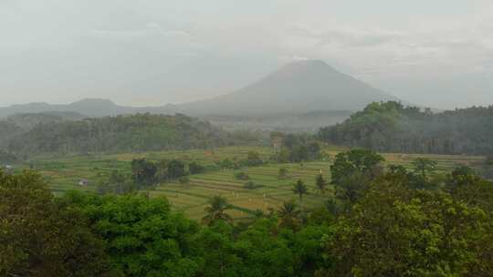 印度尼西亚日出时稻田和火山的鸟瞰图。