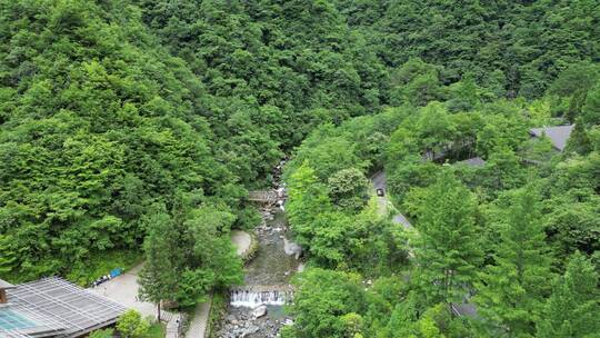 大自然绿色植物森林神农架官门山