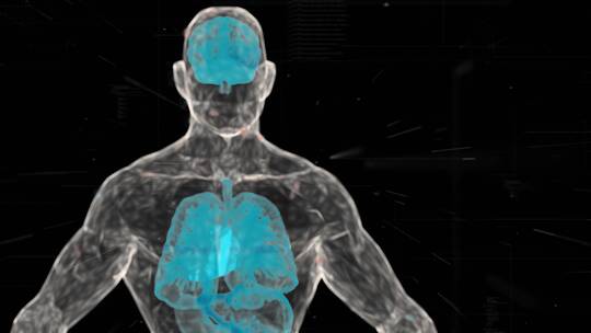 大脑内脏扫描生物科技人体扫描点模型蓝色视频素材模板下载