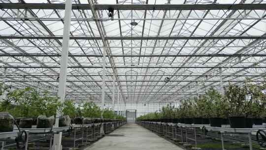数字农业温室大棚草莓种植