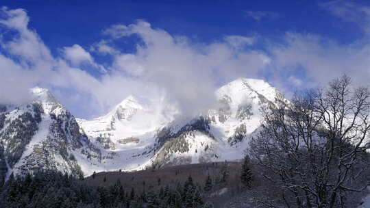 雪山山林