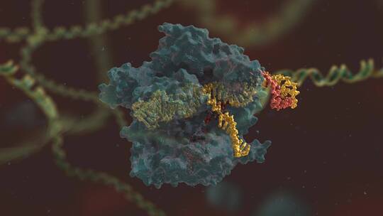 生物科学 基因编辑 DNA 基因工程 医学动画视频素材模板下载