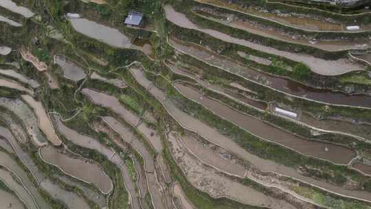 航拍从江加榜梯田