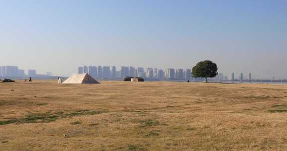 湖边开阔草地上一棵孤独的树后的城市远景