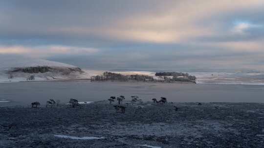 英格兰马勒姆，雪，河