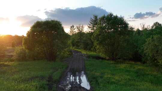 一条泥泞小路通向森林人家