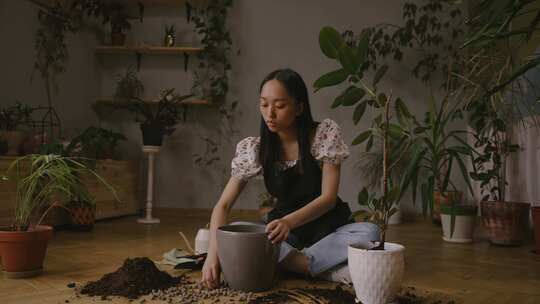 一个女人种植室内植物