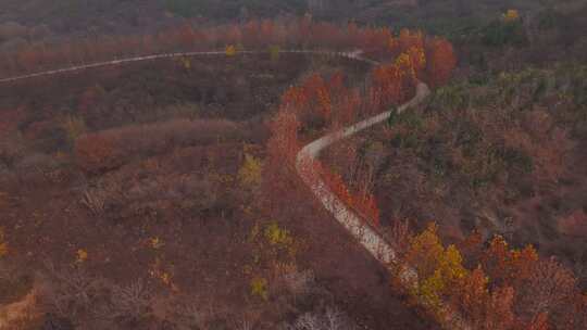河北 石家庄 井陉县 道路 交通 秋天