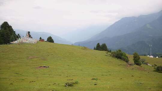 草原山顶森林风景