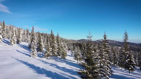 4K冬日冬季滑雪雪景雪山树林湖面云彩海面