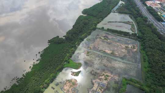 4K航拍深圳福田红树林湿地保护区