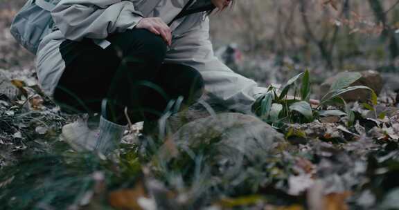 女人女性登山爱怜抚摸植物越野