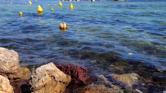 Bhoys In Sea 00