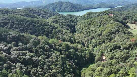 中国福建省龙岩市永定区汀江棉花滩水库