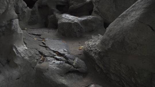 杭州江寺公园古典园林风景