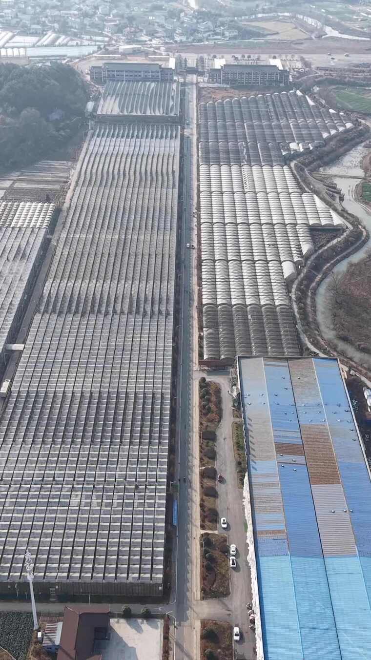 航拍农业大棚种植基地