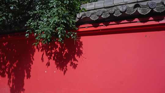 红墙红色的墙城墙古墙3938
