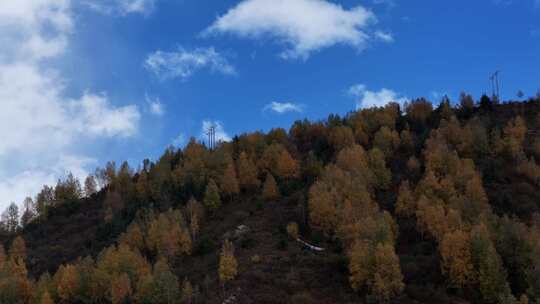 四川九寨沟彩林秋景和蓝色海子