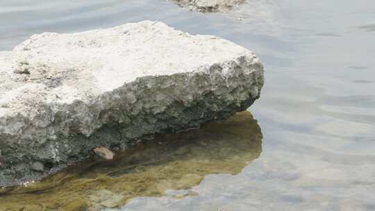 河岸边的石头