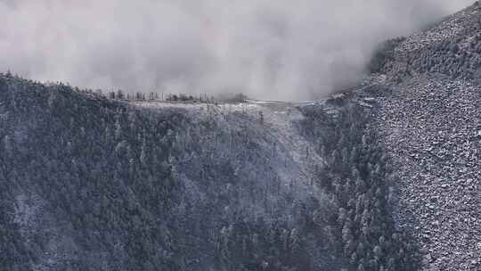 4K秦岭朱雀国家森林公园（冰晶顶）雪景航拍