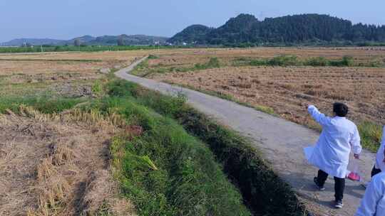 航拍天府粮仓农田农业耕地