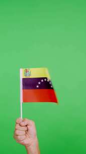 在风中挥舞时举起委内瑞拉国旗