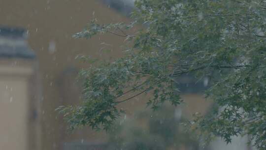 下雨雨水雨滴小雨阴雨天