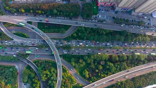 城市道路绿色交通车流