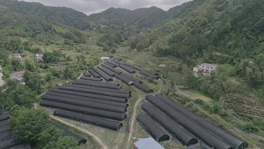 航拍-黑色蔬菜大棚