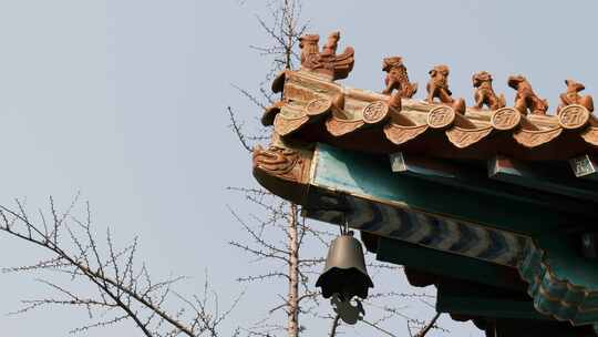 古建筑屋檐脊兽特写