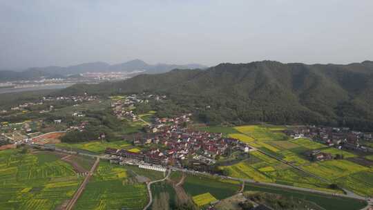 油菜花开，春日的宁国市西村风光航拍素材