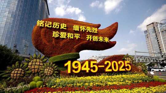 抗战胜利80周年主题花坛