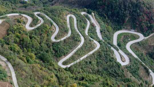 秦岭森林秋色山路