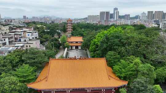 深圳龙园视频素材模板下载