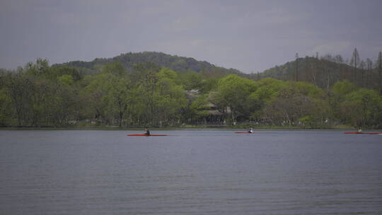 西湖茅家埠春色