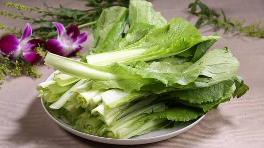 青菜小白菜菜叶叶子蔬菜