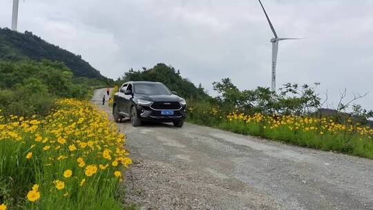 车辆行驶在户外山路