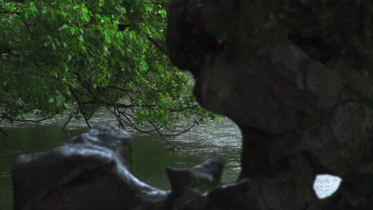 诗画江南植物园林4K 唯美雨水意境 白噪音视频素材模板下载