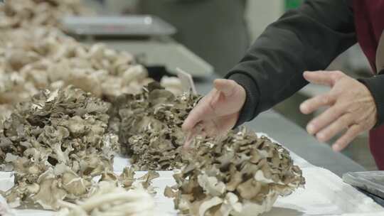 市场鲜活：菇类食材挑选与分拣过程