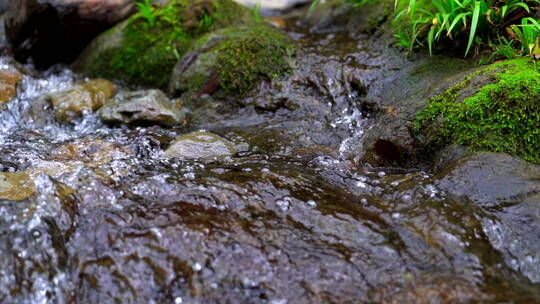 纯天然山泉水水源