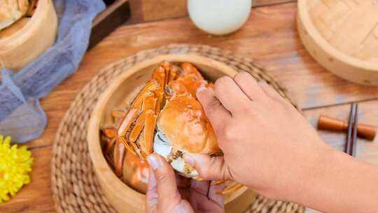 阳澄湖大闸蟹 大闸蟹特写