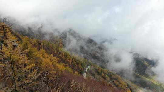 秋天 秋景 秋天云海 五彩斑斓秋天