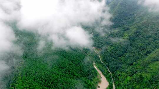 森林山脉峡谷