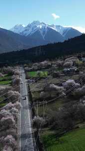 4k航拍滇藏线林芝桃花雪山公路