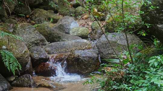 自然流水泉水山间小溪流